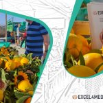Excel4Med at Farmers Market Ta’ Qali!