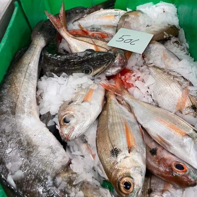 Fish